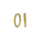 Yellow Sapphire Earring