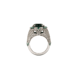 Vision Ring