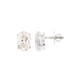 Oval Earrings